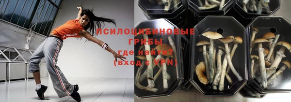 стаф Сафоново