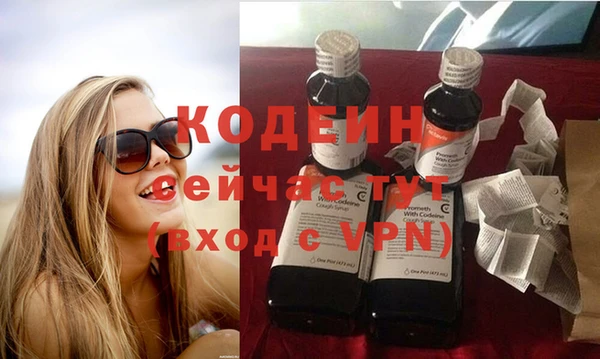 тгк Сатка
