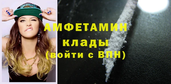 молекула духа Богородск