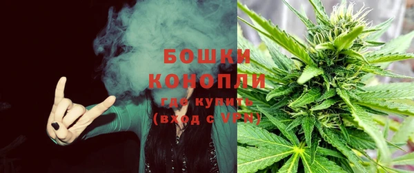 молекула духа Беломорск