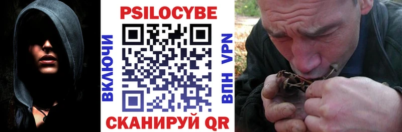 купить закладку  Болгар  кракен онион  Галлюциногенные грибы MAGIC MUSHROOMS 